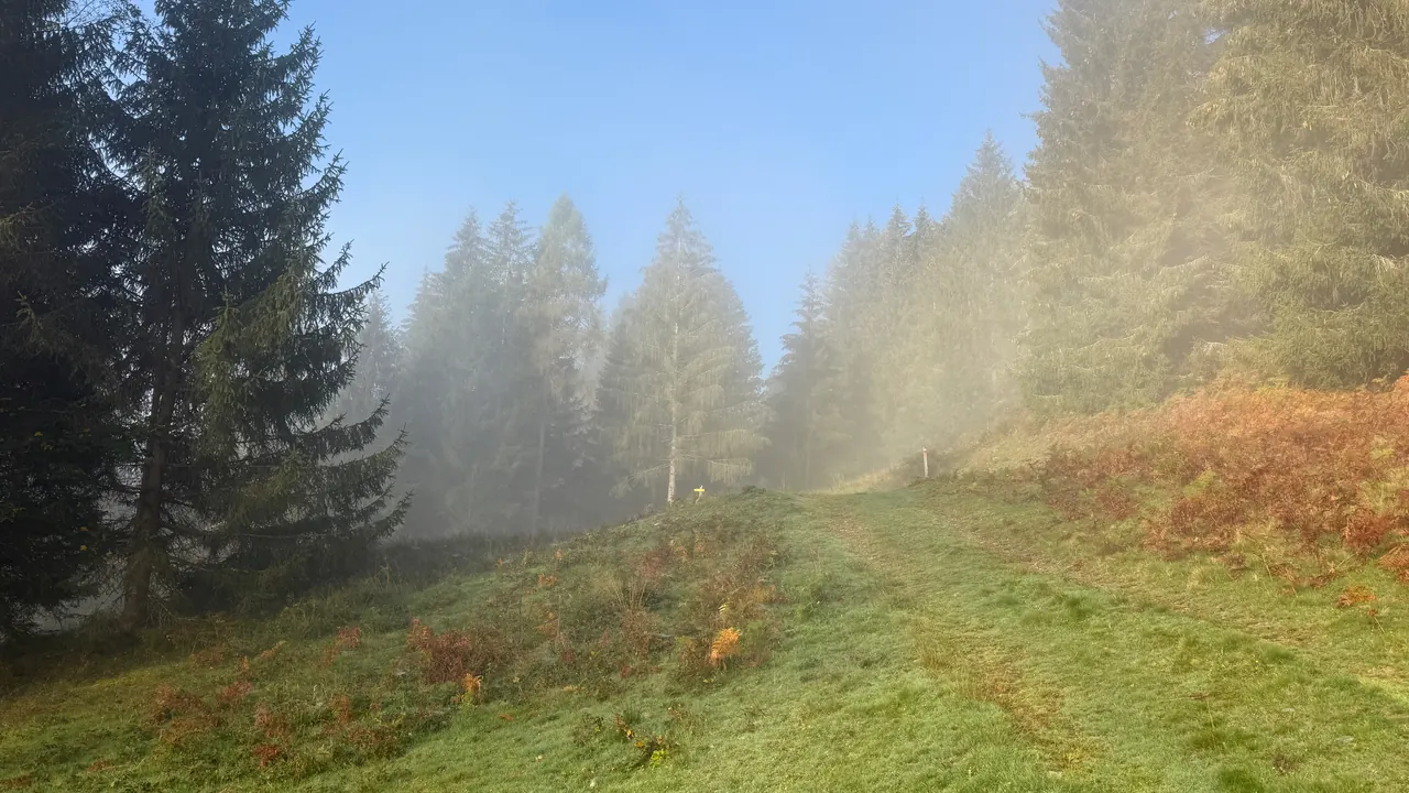 Wandelen vanaf de voordeur
